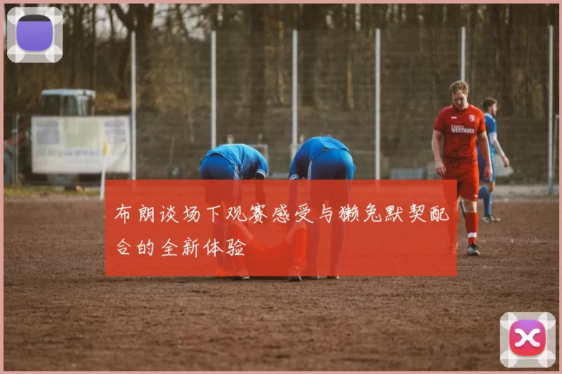 布朗谈场下观赛感受与獭兔默契配合的全新体验