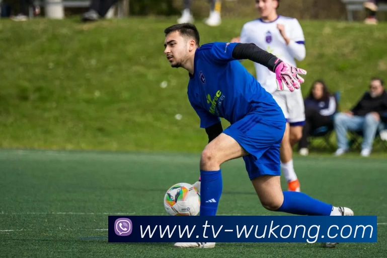 悟空体育APP 封面图